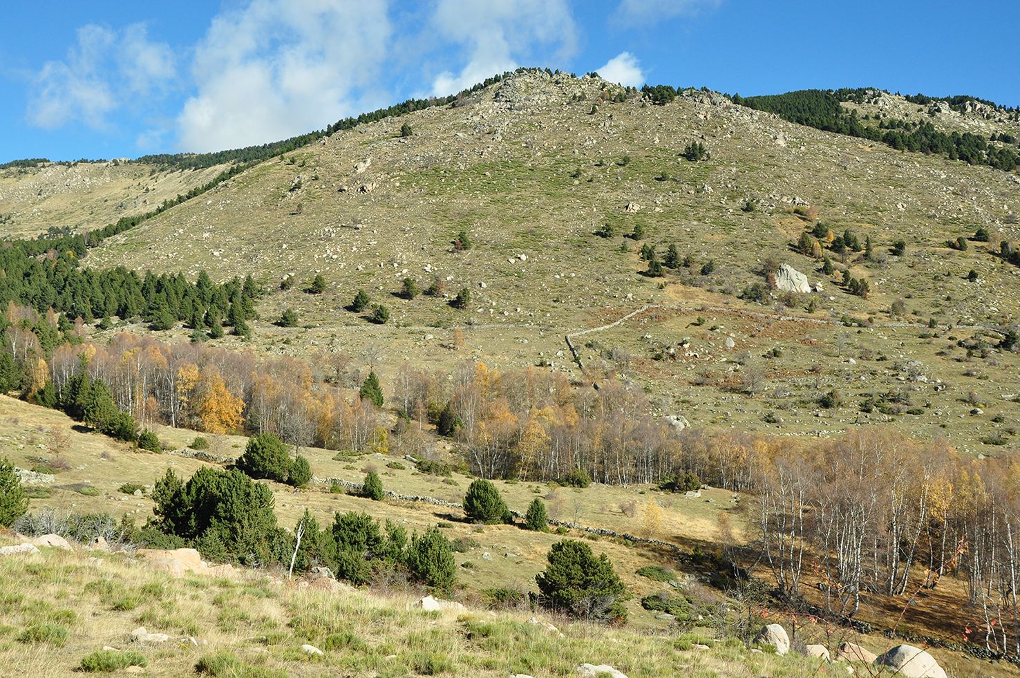 The mountain of Enveitg (Eastern Pyrenees)