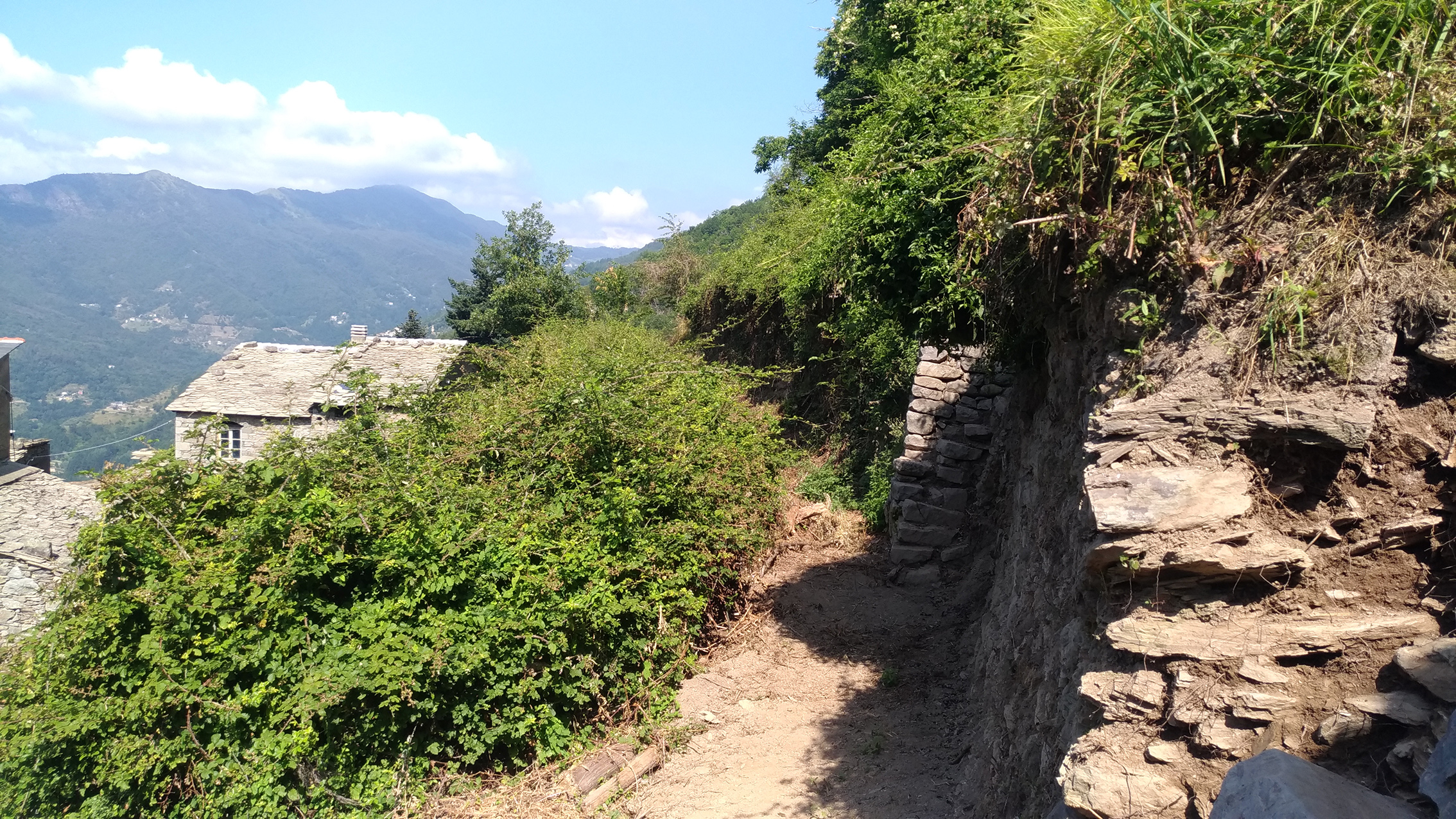 Geoarchaeological analyses on terraced slopes in Castagnello, Borzonasca (Genova, Italy)